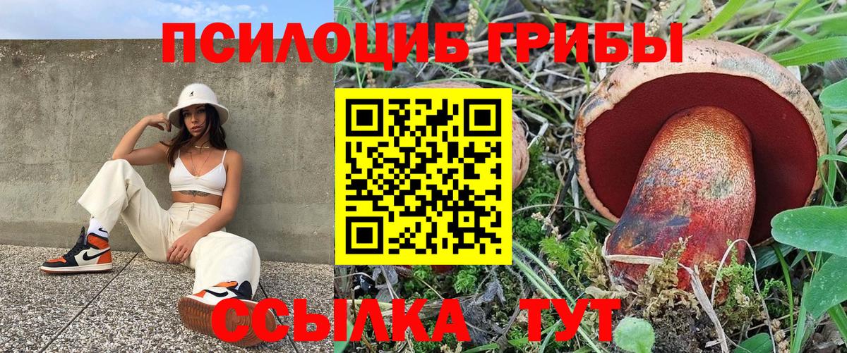 Елец  Псилоцибиновые грибы MAGIC MUSHROOMS  Вход с VPN  Галлюциногенные грибы Psilocybe 