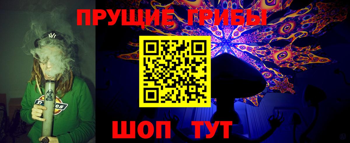 Псилоцибиновые грибы GOLDEN TEACHER Елец